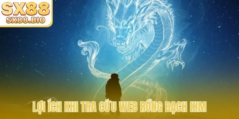 Lợi ích khi tra cứu web Rồng Bạch Kim