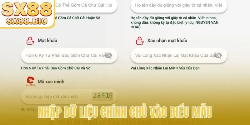 Nhập dữ liệu chính chủ vào biểu mẫu